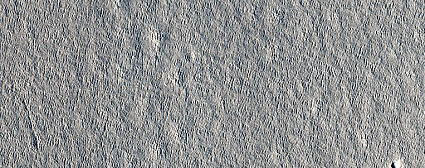 Arcadia Planitia Terrain Sample

