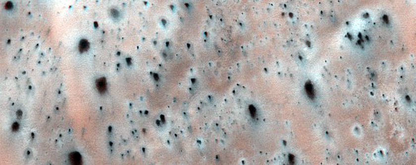 Active Dunes with Star-Shaped Fans

