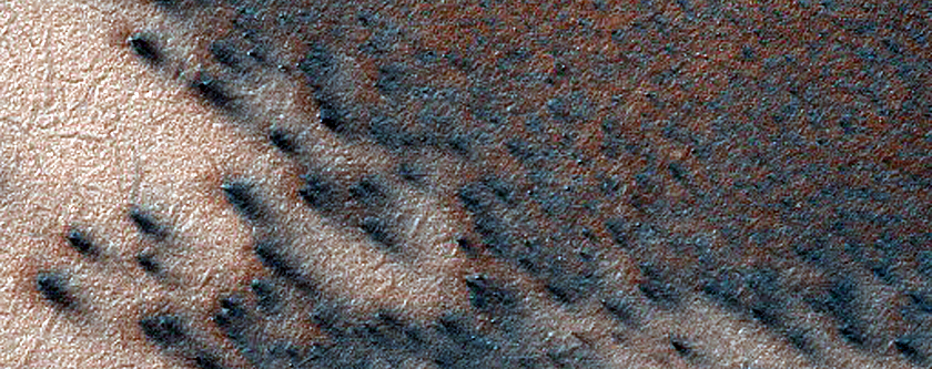 Spider Terrain Not on South Polar Layered Deposits
