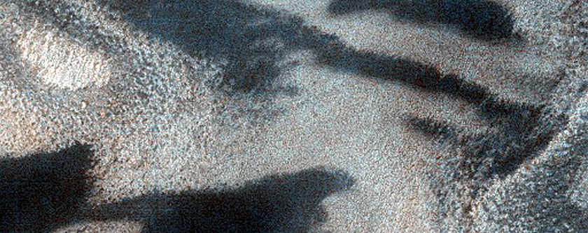 Polar Dunes and Frost
