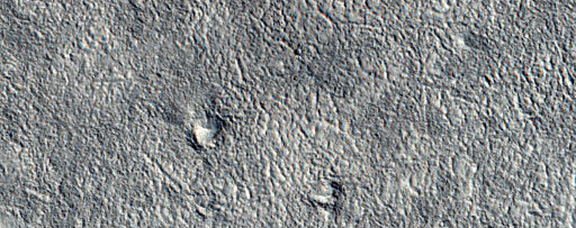 Monitoring New Impact Site

