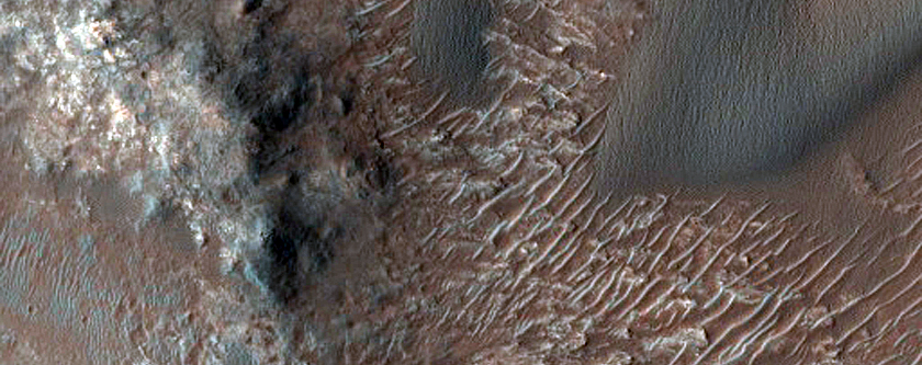 Star and Barchan Dune Monitoring near Tyrrhena Terra
