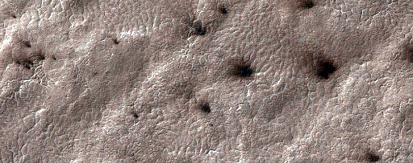 Spider Terrain
