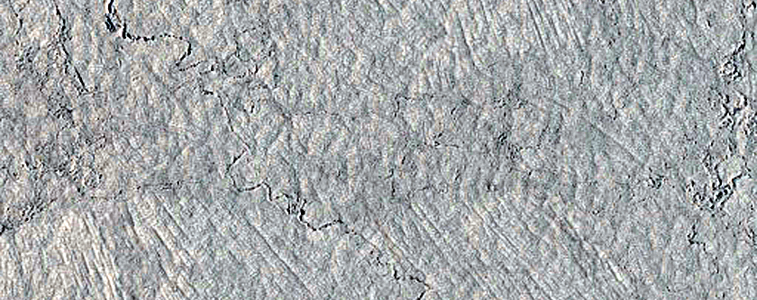 Cerberus Palus Lava
