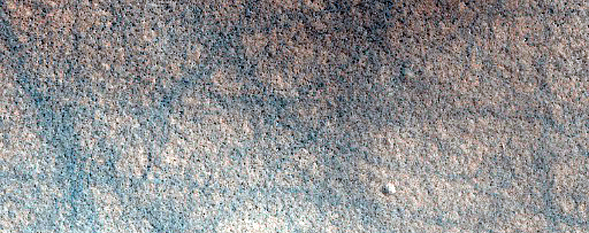 Northern Terrain Sample
