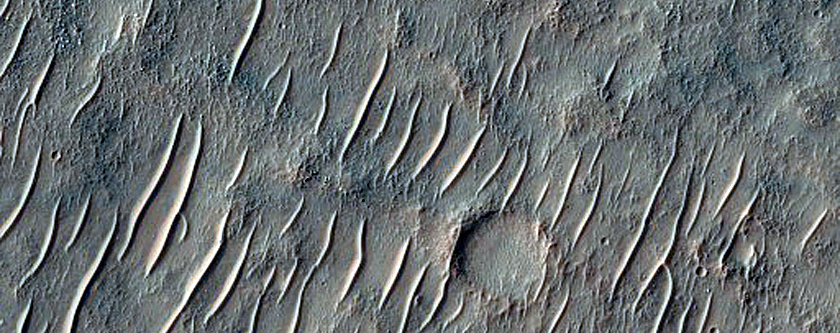 Mid-Latitude Terrain Sample
