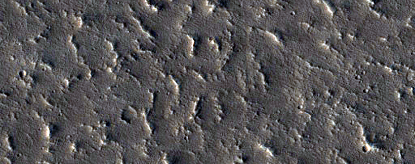 Fracture near Tractus Fossae
