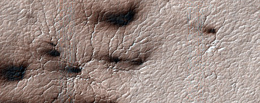 Classic Spider Terrain in Region Dubbed Manhattan

