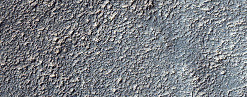Terrain Sample
