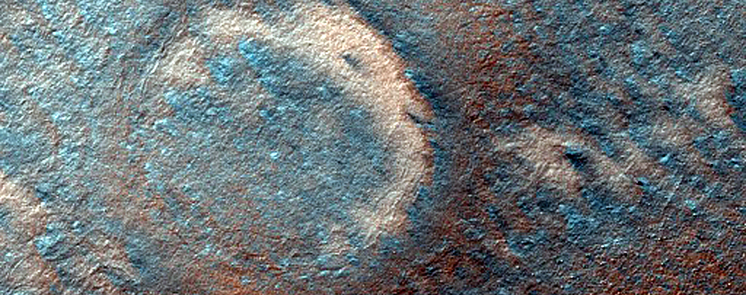 Spider Terrain Not on South Polar Layered Deposits
