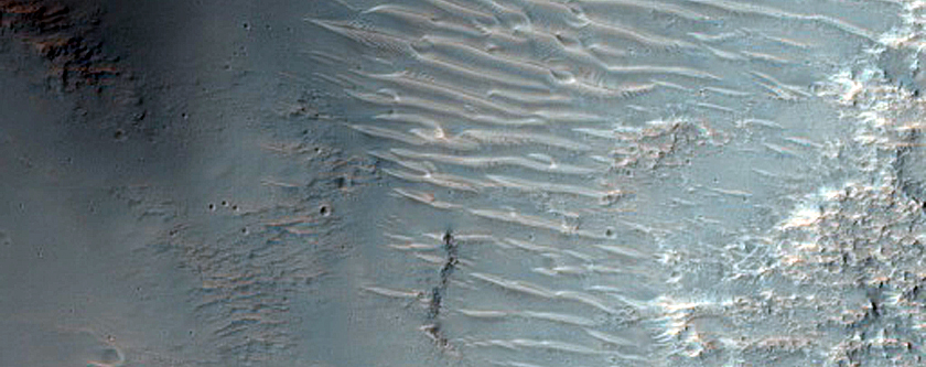 Tyrrhena Terra
