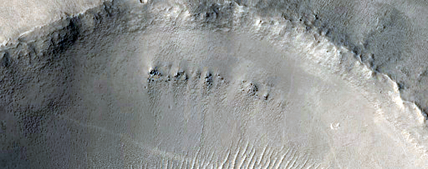 Eastern Arabia Terra
