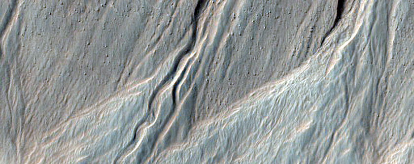 Gullies and Arcuate Ridges in Nereidum Montes
