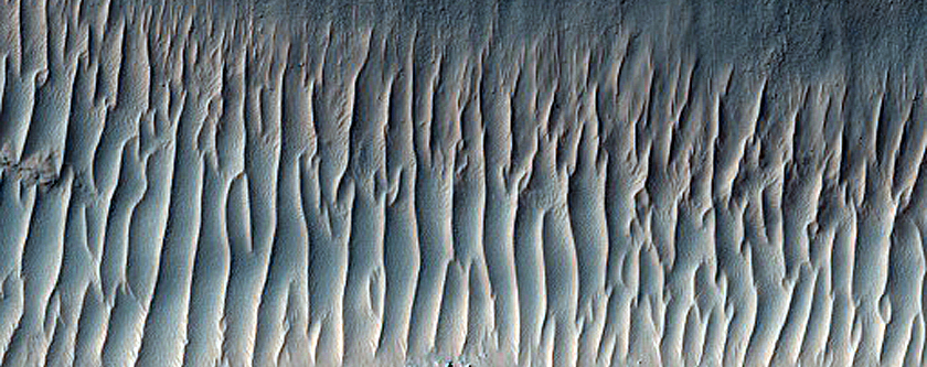 Graben in Terra Cimmeria

