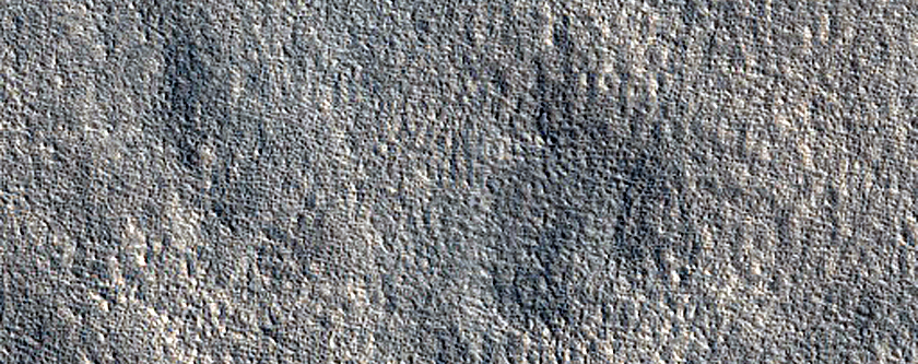 Terrain Sample
