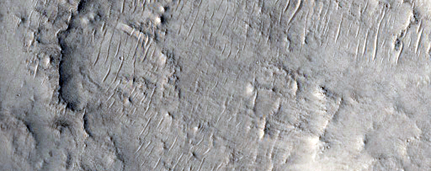 Floor of Antoniadi Crater
