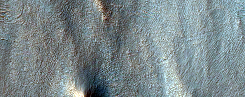 Gully Monitoring
