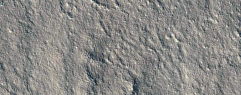 Bedforms in Crater in Arcadia Planitia
