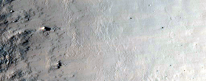 Northern Terra Cimmeria
