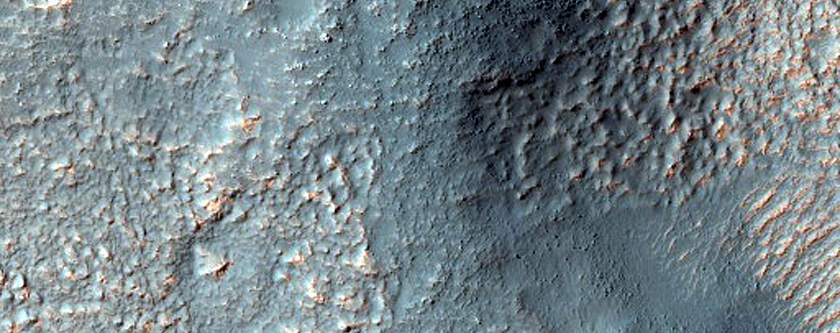Terrain Sample
