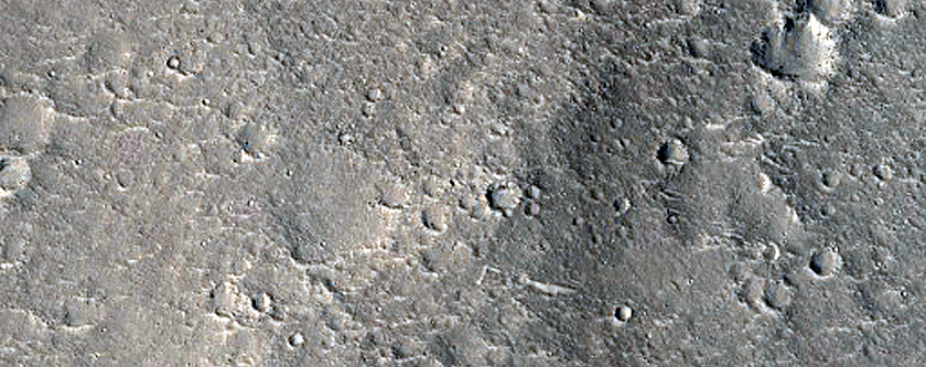 Nepenthes Planum
