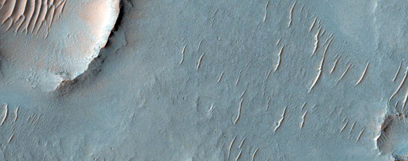 Southern Mid-Latitude Terrain Sample
