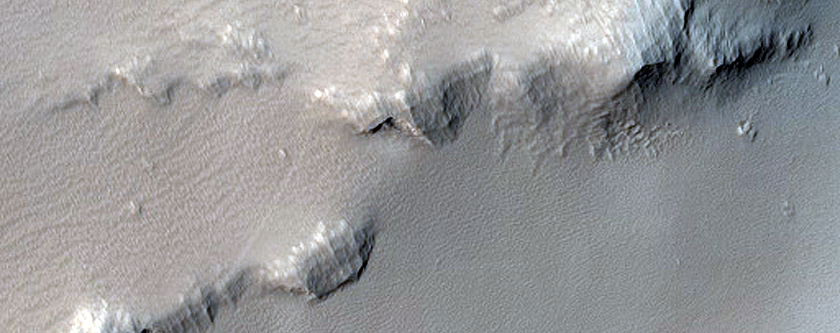Daedalia Planum
