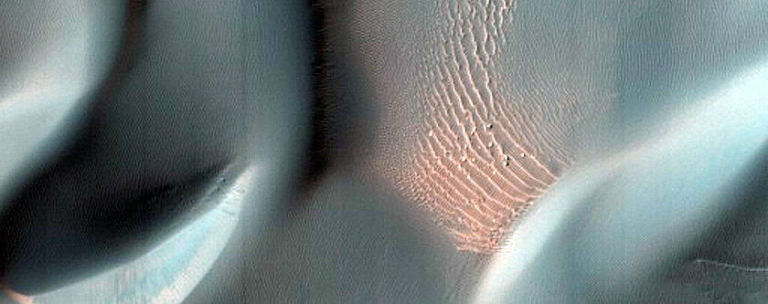 Proctor Crater Dune Gullies