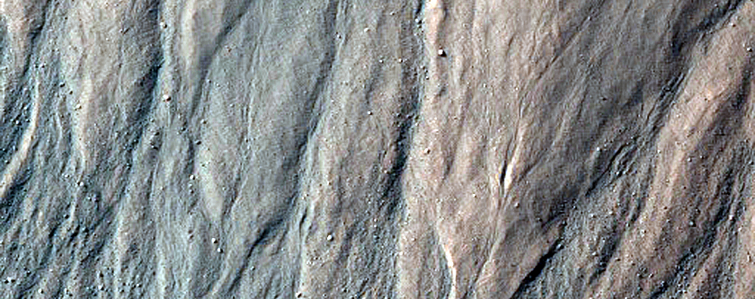 Gully Monitoring
