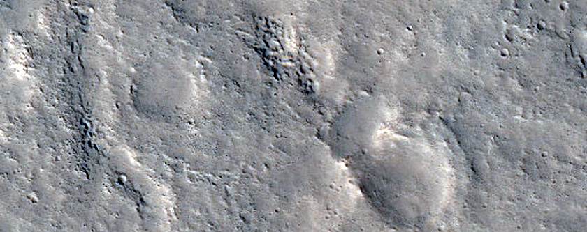 Tempe Terra
