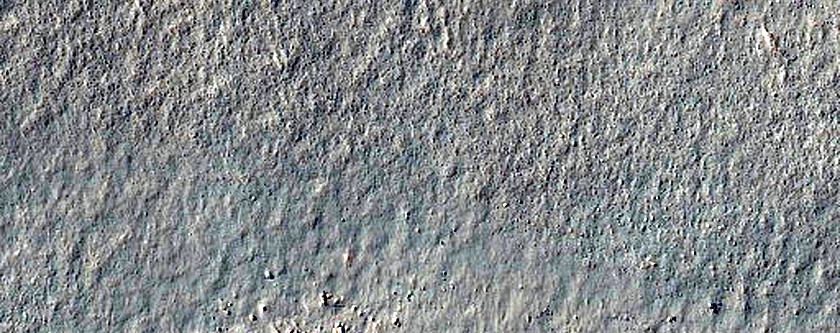 Terrain Sample
