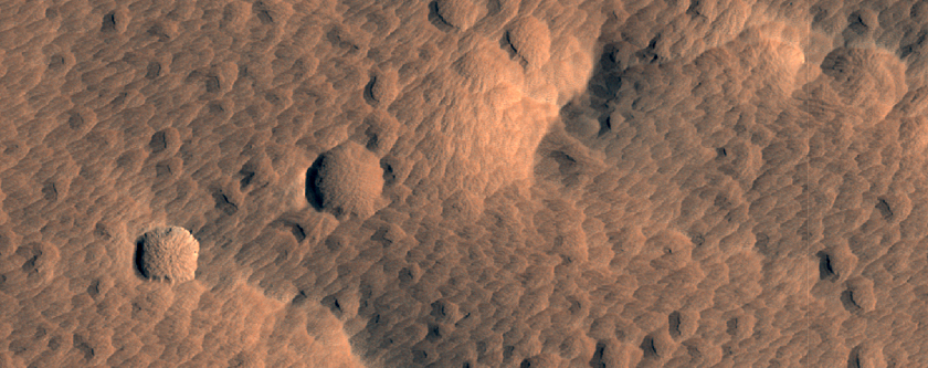 Pitted Material on Floor of Well-Preserved Crater in Elysium Planitia

