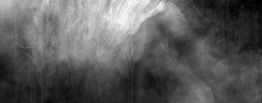Gully Monitoring
