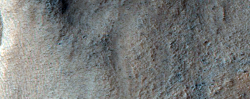 Possible Olivine-Rich Terrain
