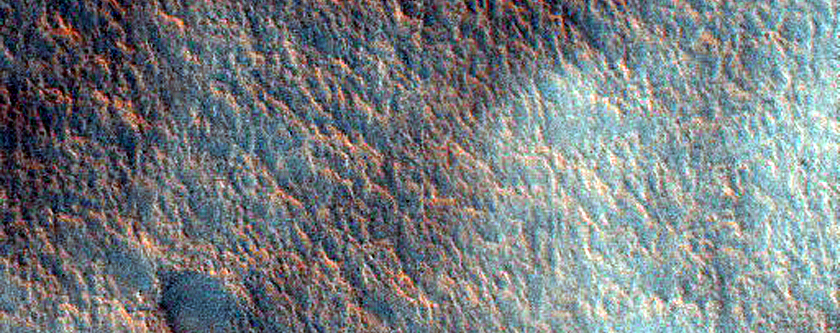 Circular Depression and Arcuate Fractures
