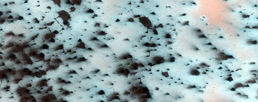 South Polar Region Cryptic Terrain Margin Monitoring in Reynolds Crater
