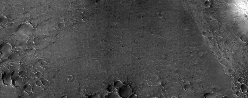 Northern Lowlands
