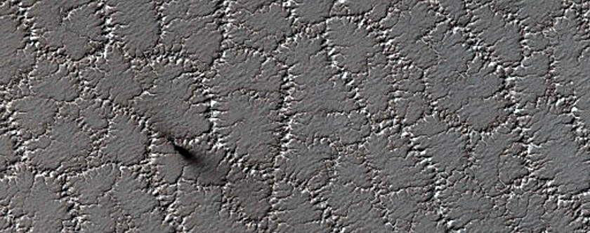 Bright and Dark Seasonal Fans on Patterned Ground
