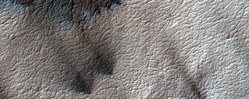 Classic Spider Terrain in Region Dubbed Manhattan
