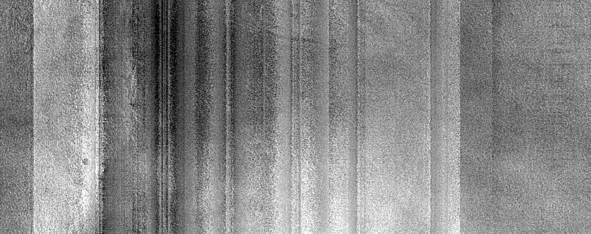 Gully Monitoring
