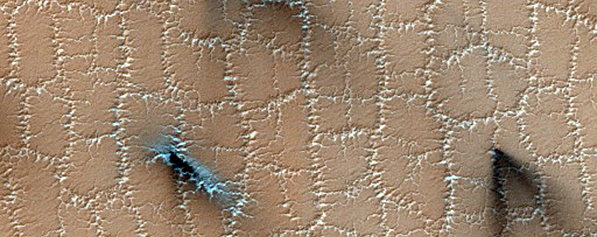 Bright and Dark Seasonal Fans on Patterned Ground
