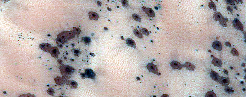 Seasonal Activity over Dunes with Possible Recent Spiders
