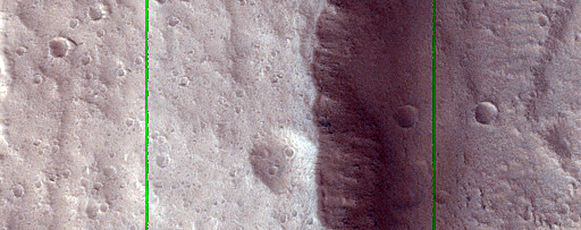 Branched Channels in Tantalus Fossae
