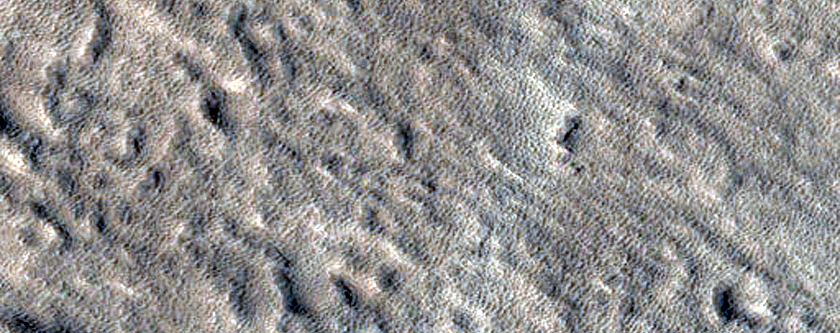 Olympus Mons
