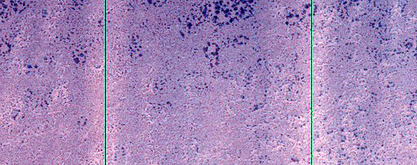 USGS Dune Database Entry Number 1378-665

