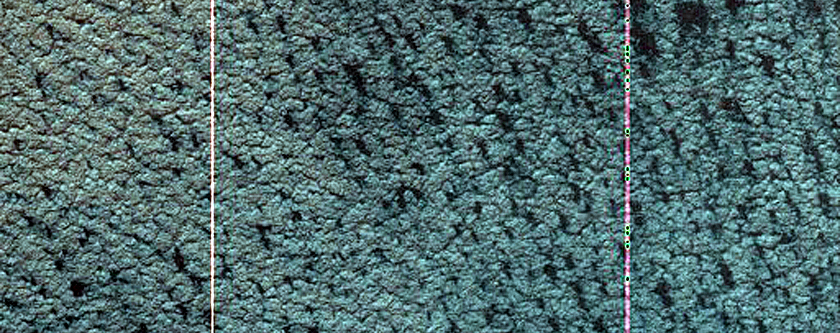 Gullies
