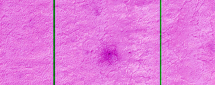 Seasonal Monitoring South of Pityusa Patera
