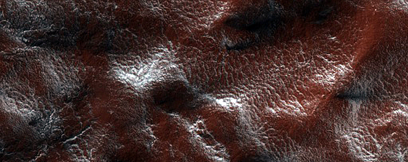 Spider Terrain
