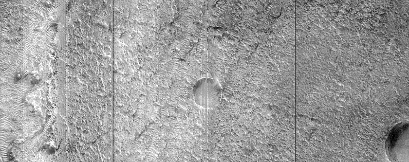 Acidalia Planitia Sample
