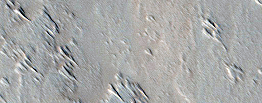 Monitoring New Impact Site
